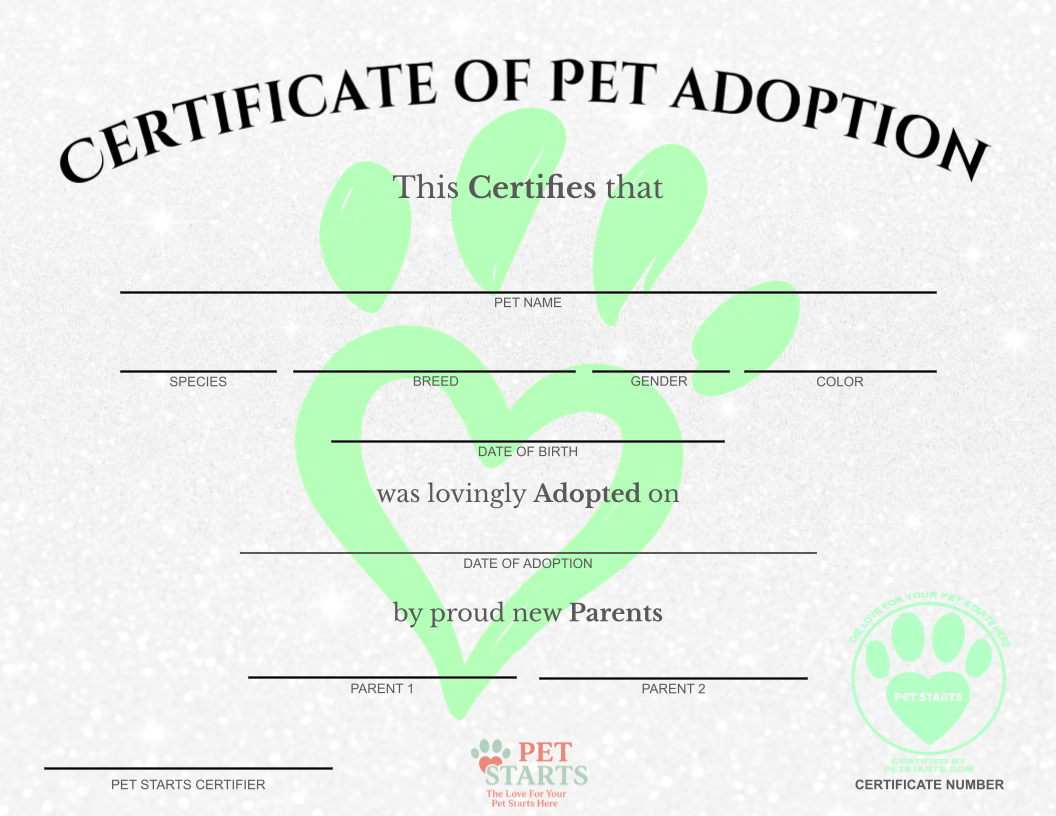 Original Green Paw Print Pet Adoption Certificate
